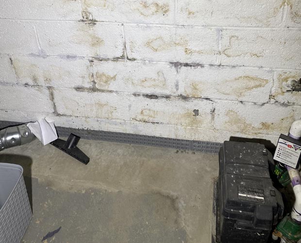 Can mold in the basement affect upstairs?