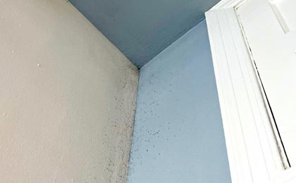 7 Mistakes People Make When Finding Mold