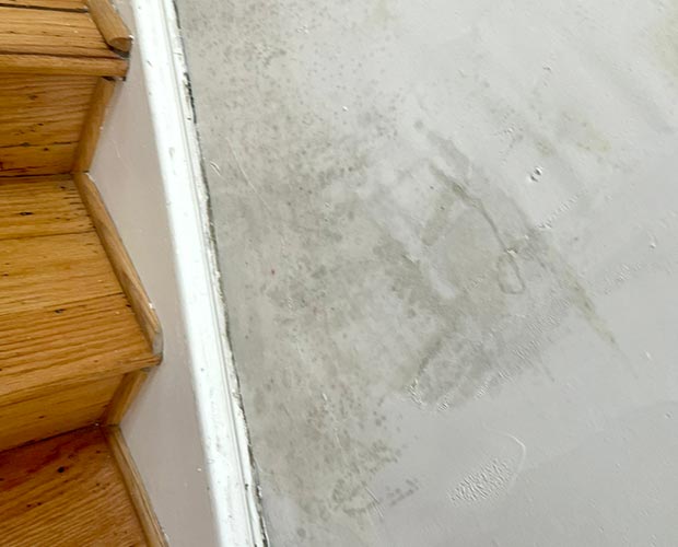 Mold on Walls