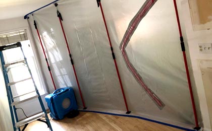Mold Remediation Process Explained