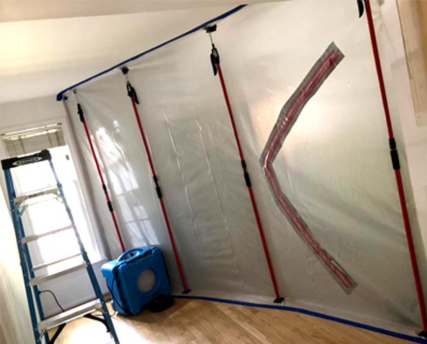 Mold Remediation Step-by-Step