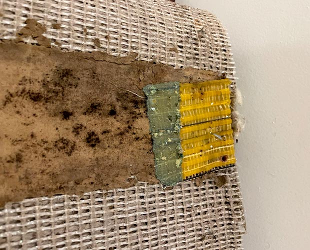 Step 1: Mold Inspection