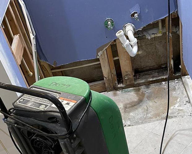 Mold Treatment Guide: Step 2 Mold Prevention Mold Treatment Guide: Step 2 Mold Prevention