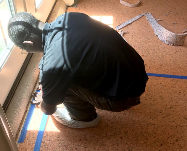Mold Treatment Guide: Step 5 Restoration Mold Treatment Guide: Step 5 Restoration