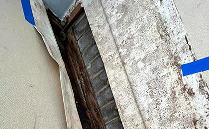 Why we don't recommend removing mold by yourself Why we don't recommend removing mold by yourself