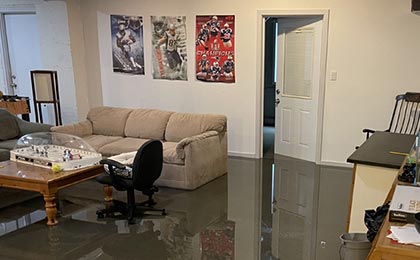 Expert Tips on Handling Mold Post-Flooding