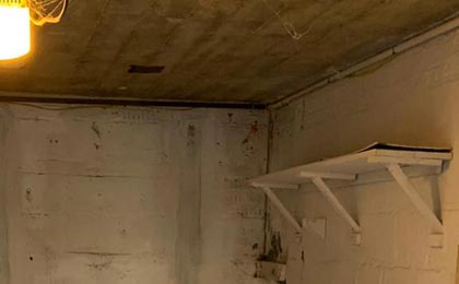 Can mold in the basement affect upstairs? Can mold in the basement affect upstairs?