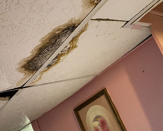 How to Remove Mold from Your Ceiling: The Smart Way How to Remove Mold from Your Ceiling: The Smart Way