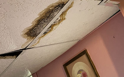 How to Remove Mold from Your Ceiling How to Remove Mold from Your Ceiling