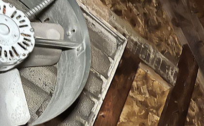 How to Remove Mold From the Attic and Protect Your Home How to Remove Mold From the Attic and Protect Your Home