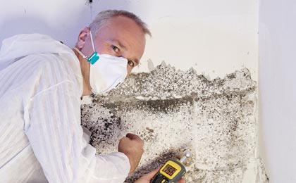 How to Maintain Your Home After Mold Remediation How to Maintain Your Home After Mold Remediation