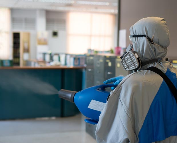 Commercial Mold Damage
