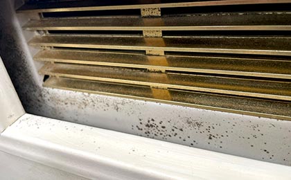 Mold in HVAC Systems Mold in HVAC Systems