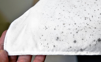 Mold on Clothes: Causes, Risks, and How to Remove It Effectively Mold on Clothes: Causes, Risks, and How to Remove It Effectively