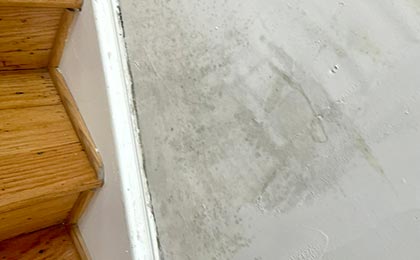 Mold on Walls: Causes, Prevention & Treatment Mold on Walls: Causes, Prevention & Treatment