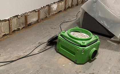 Mold in the bathroom: how can you remove it? Mold in the bathroom: how can you remove it?