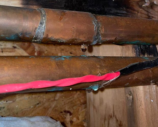 Top 7 Common Causes of Mold in Your House
