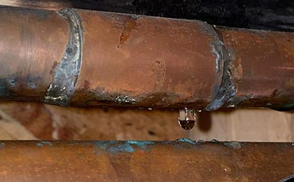 Common Causes of Mold in Your House Common Causes of Mold in Your House