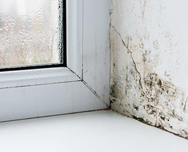 Can Mold Be Worse in The Home in Winter Months?