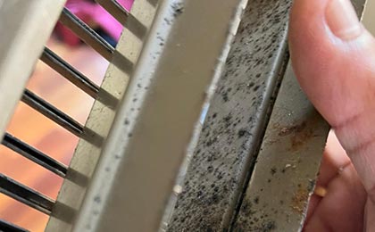 Hidden mold in your home Hidden mold in your home