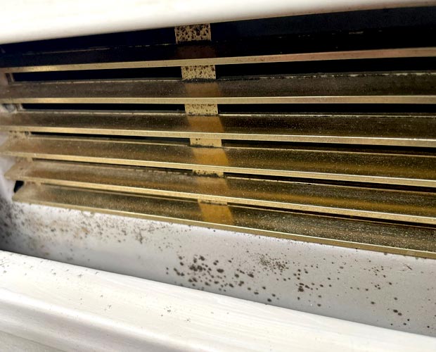 Mold buildup inside an aged HVAC system's ductwork and components