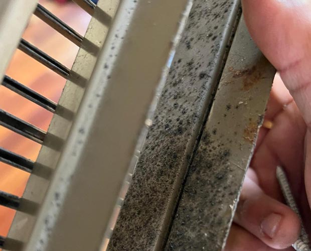 Mold growth inside an air conditioning unit's ductwork and coil components