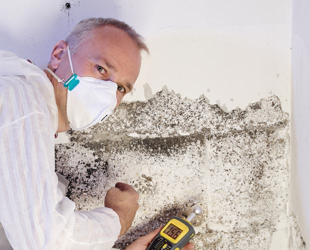 Technician completing final steps of mold remediation work covered under a service warranty