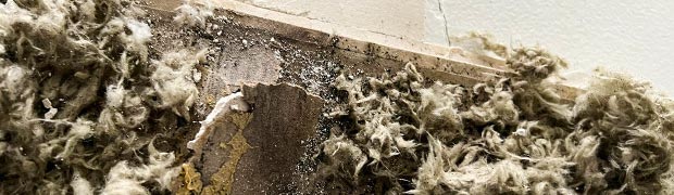 Problems Due To Mold Exposure Problems Due To Mold Exposure
