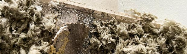 Problems Due To Mold Exposure