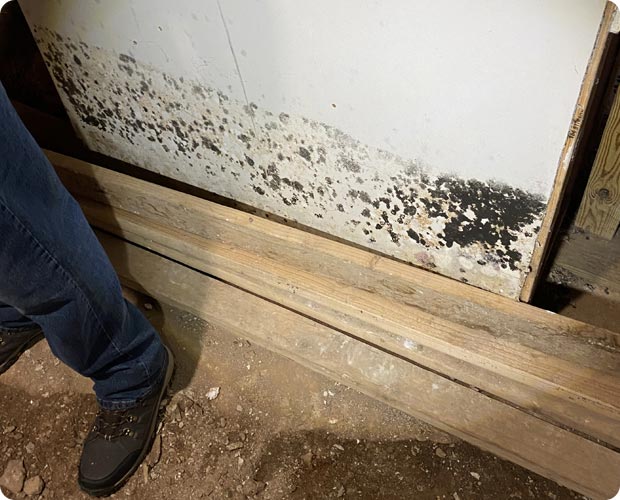 Crew in hazmat suits sanitizing a surface affected by black mold growth