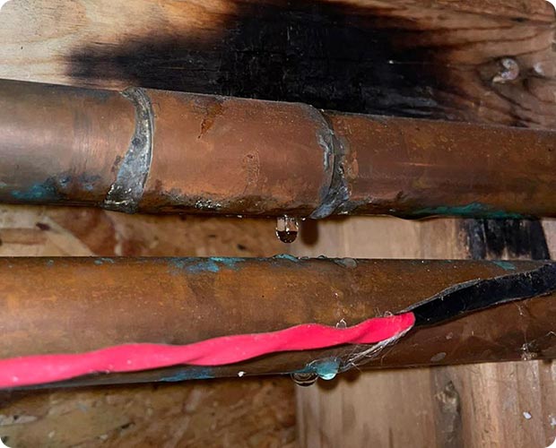 Common moisture and mold conditions found in an unencapsulated crawl space