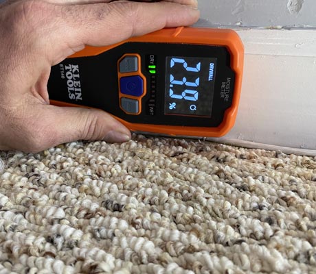 mold inspection service mold inspection service