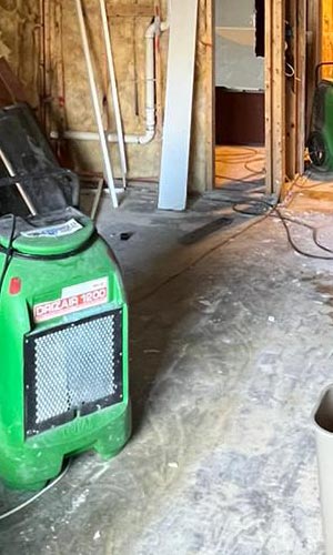 mold remediation process mold remediation process