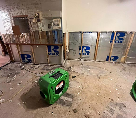 mold remediation and removal service mold remediation and removal service